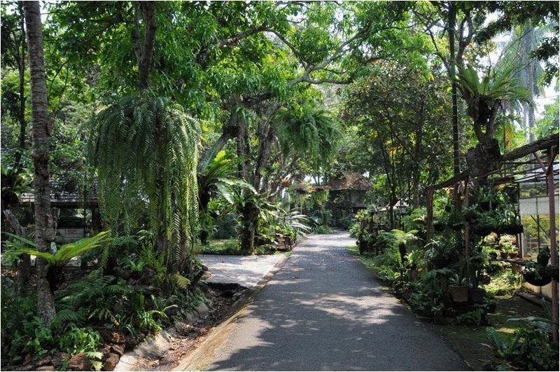 Khu nghỉ mát Fern Paradise